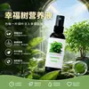 Plantas verdes de interior en maceta anti-amarilleo caída de hojas caída de hojas planta universal líquido soluble en agua Árbol de la Felicidad fertilizante especial solución nutritiva
