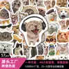 57 Adesivos Fofos de Gato Pet Culturais e Criativos, Adesivos Decorativos de Animais Fofos para Cadernos, Malas, Atacado Transfronteiriço
