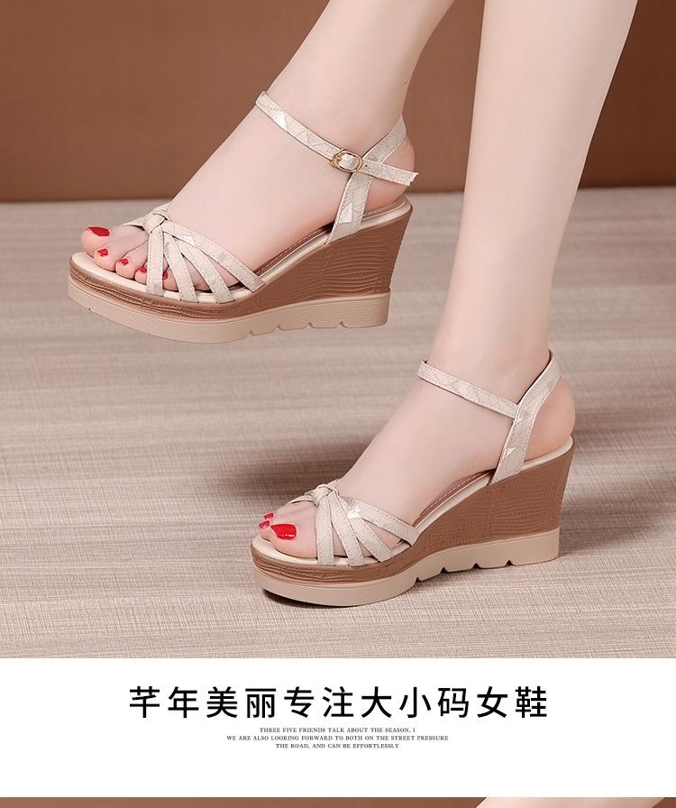 杏色_13.jpg