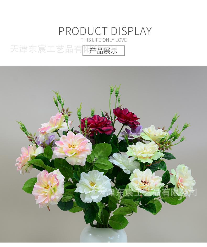 详情_05.jpg