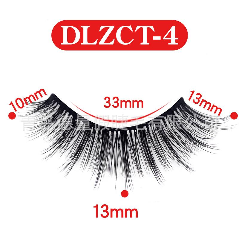 DLZCT-4.jpg