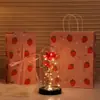 Flor Eterna Rosa Dorada Lámina de Oro Transfronteriza Lámpara de Noche Regalo para el Día de la Madre San Valentín Decoración Creativa de Escritorio Lámpara de Ambiente