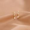 Aretes Colgantes de Plata S925 Diseño de Nicho Sentido Diamantes Incrustados Aretes de Plata Esterlina Temperamento Avanzado para Mujer Joyería de Oreja Venta al por Mayor