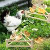 Poleiro Triangular de Madeira para Galinhas Madeira Maciça Plataforma para Animais Galinha Suporte de Entretenimento Interativo Brinquedo Estrutura de Escalada