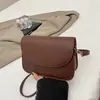 Bolso de Mujer 2024 Nuevo Bolso de Hombro Cruzado para Mujer Popular en Internet Estilo Coreano Monedero Bolso Cuadrado Pequeño Simple Bolso de Mujer Estilo Occidental