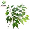 Dongguan planta verde artificial Árbol grande rama plana Hoja Naranja Hoja de Arce Higuera Francesa hoja de té hoja de plástico
