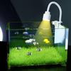 Luz Nativa para Aquário de Fluxo, Luz para Explosão de Algas, Luz para Aquário, Luz de Espectro Completo para Plantas Aquáticas, Luz Ornamental LED, Iluminação Foco Sul-Americana