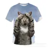 Camiseta de Manga Corta para Hombre y Mujer Verano 2024 Estampado Digital 3D Cuello Redondo Holgada Manga Corta