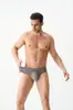 Encaje Jacquard Geométrico 10A Antibacteriano Fragancia a Camelia Hidratante Seda de Hielo Triángulo de la Entrepierna de una Sola Capa Ropa Interior para Hombre