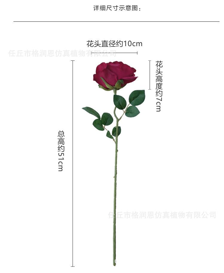 单支玫瑰花_03.jpg