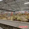 Equipo de Cría de Jaulas para Aves de Corral, Jaulas Grandes de Tipo Escalera por Niveles, Equipo para Gallinero con Limpieza Automática de Estiércol, Jaulas para Patos de Alambre Galvanizado