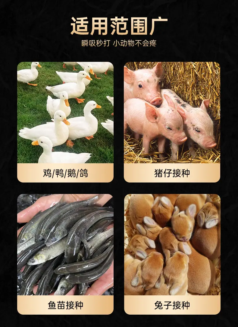 详情页_05.jpg