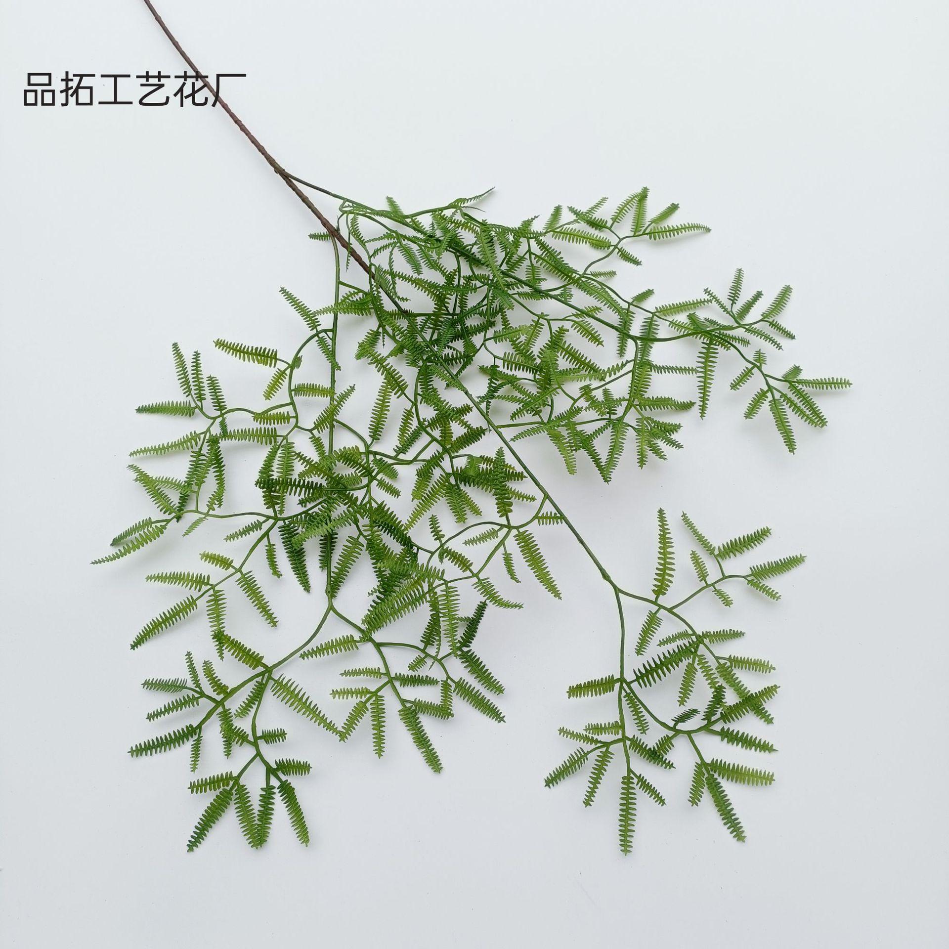 6395caff110303393ecc99b79eacef