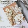 [Kit de Materiales para Repujado A5] Flores Secas Flores Preservadas Marco de Fotos Kit de Materiales para Repujado Materiales Florales DIY Vela Aromática Flores Secas