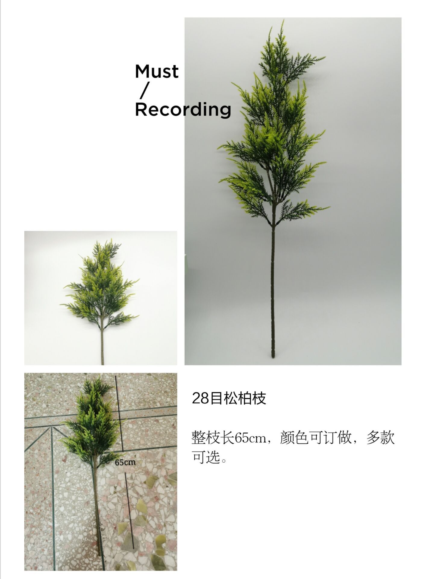 QQ图片20200615162706.jpg