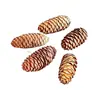 Flores Hechas a Mano del Jardín de Infancia Acorn, Flores Naturales Reales, Piñas, Frutos de Mil Granos, Flores Secas Decorativas, Materiales para Manualidades Navideñas