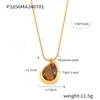 Estilo Maillard Personalidade Simples Senso de Design Joia Pingente Geométrico Formato Gota Olho de Tigre Aço Titânio Banhado a Ouro Colar