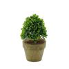 Venta Especial Planta Verde Pequeño Bonsái Hierba Diamante 1179 Flores Artificiales Flores Falsas Decoración de Boda Flores Artificiales Accesorios para Fotografía de Muebles