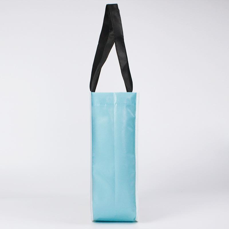 non woven bag 13 (3)