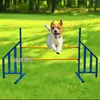 Fabricante Diversos equipamentos de treinamento para cães / Equipamentos para eventos esportivos de cães de estimação agility Treinamento de agilidade para cães simples