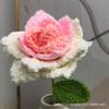Serie de Rosas Tejidas a Mano Decoración para Evento del Día de San Valentín Mini Ramo Romántico Realista Hecho a Mano Alta Simulación
