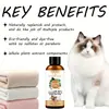 Shampoo Cinco em Um para Gatos e Cães de Fronteira, Líquido para Banho com Fragrância Duradoura, Shampoo e Líquido para Banho em Estoque