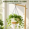 Suministro Especial para Maceta Colgante Transfronteriza Maceta de Autorriego a Prueba de Fugas Maceta Colgante para Jardinería de Balcón y Patio En Stock Venta al por Mayor