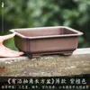 Vaso de Flores Longo para Casa Vaso Retangular para Suculentas Plantas Verdes Ficus Vasos para Bonsai Resina Respirável Imitação de Argila Roxa
