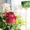 Portatarjetas de Negocios Redondo con Forma de Corazón y Estrella, de 1.5 mm de Grosor, Dorado, Portanotas, Portatarjetas, Inserto para Flores de Jardinería