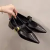 Pedido 2026 Zapatos Mary Jane Bajos Retro Nuevos Otoño/Invierno Zapatos de Tacón Grueso Puntiagudos para Mujer Tallas Grandes Zapatos de Falda con Cordones y una Sola Correa