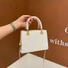 Bolso de Mano Pequeño de Moda para Mujer 2025 Nueva Moda Ins Elegante Bolso de Hombro para Viajar Bolso Cruzado Pequeño Cuadrado