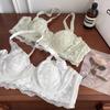 Reino Secreto del Jardín ~ Encaje Jacquard de Puro Deseo Francés Ropa Interior Sexy para Mujer Ultra-delgada Pecho Grande Pequeño Sujetador Anti-flacidez