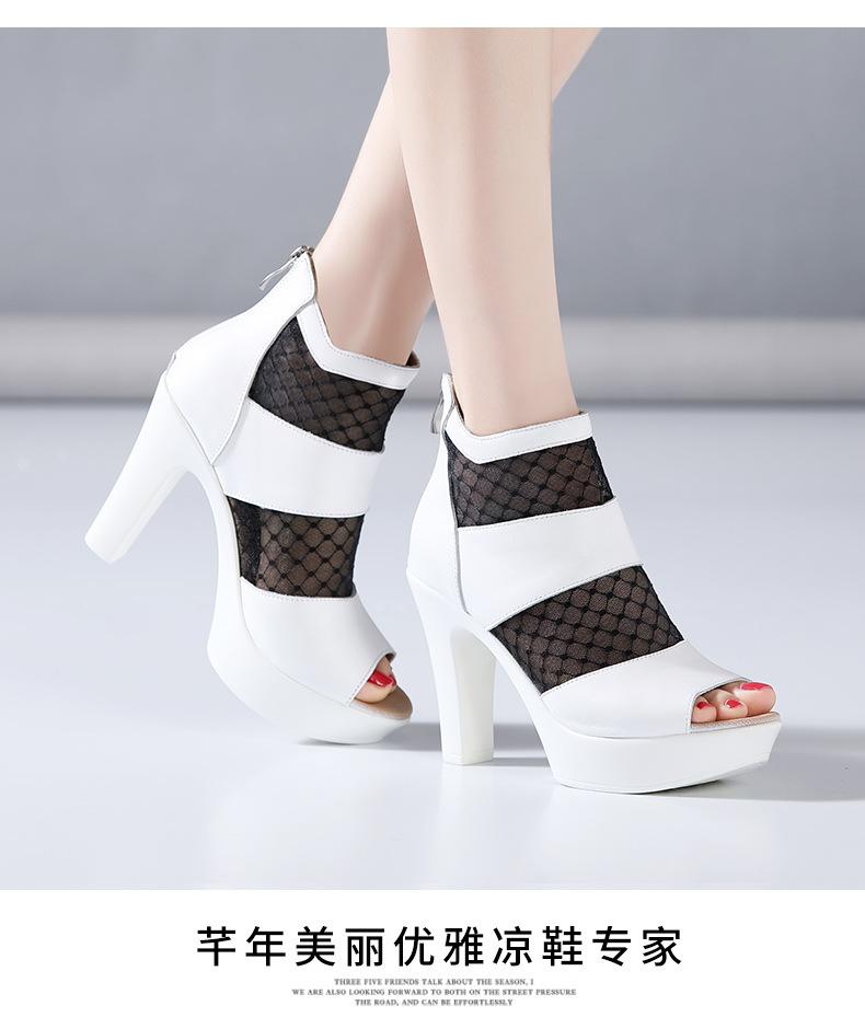 详情_15.jpg