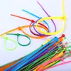 Fabricante de Bridas de Nylon de Colores Listas para Usar Personalizadas 3*100 4*150 4*200 4*250 4*300 8*300