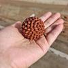 Venta al por mayor de bolas de durian de Laos Huanghuali, bolas de masaje de mano talladas, bolas de fitness Wenwan, piezas con mango de madera maciza tallada
