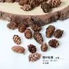 Kit de Moldura para Fotos com Materiais de Flores Secas DIY: Espigas de Trigo, Bolotas, Cascas de Frutas Secas, Pinhas, Lascas de Madeira, Espécimes de Plantas Feitos à Mão