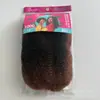 Rastas Sintéticas Estilo Oruga Populares Africanas 12 Pulgadas 100g Accesorios para el Cabello Reggae Venta al por Mayor Transfronteriza