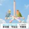 Juguete de ejercicio para pájaros loro con rodamiento, volante giratorio, molinillo de viento, parque de juegos educativo y entretenido, soporte para pájaros de madera maciza