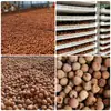 Lichis Secos de Guangdong, Fruta Grande, Variedad Guiwei de Gaozhou, Hueso Pequeño, Secados Naturalmente al Sol, Nueva Cosecha de 2026, Piel Fina, Pulpa Espesa, Lichis Secos