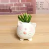 Atacado Vaso Cerâmico com Esmalte de Floco de Neve para Suculentas Estilo Europeu Desenho Animado Simples Animal de Plantio para Suculentas Vaso de Flores 0442