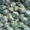 Bola de espinaca congelada rápidamente bola de hoja entera 15-35g ingredientes frescos para sopa cruda