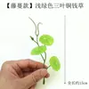 3 Piezas de Hierba del Dinero con Hojas de Moneda de Cobre, Plantas Verdes Pequeñas en Maceta para Decoración de Escritorio