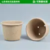 Maceta redonda de pulpa de papel biodegradable con agujeros para ventilación, maceta de cultivo para cultivo de plántulas de verduras y flores en balcón de casa