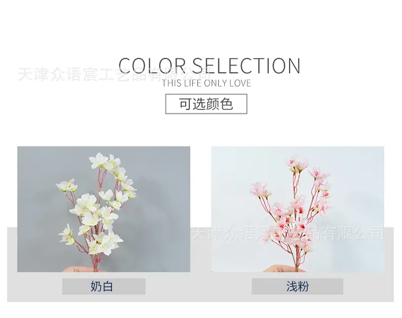 详情_02.jpg