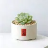 Conjunto fofo de plantas de interior para mesa para jardim de infância, fácil de cultivar e cuidar, pequenas plantas em vasos
