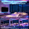 Bestseller transfronterizo tira de luces 5050RGB 20 teclas batería seca Bluetooth APP infrarrojo controlado por sonido tira de luz ambiental colorida
