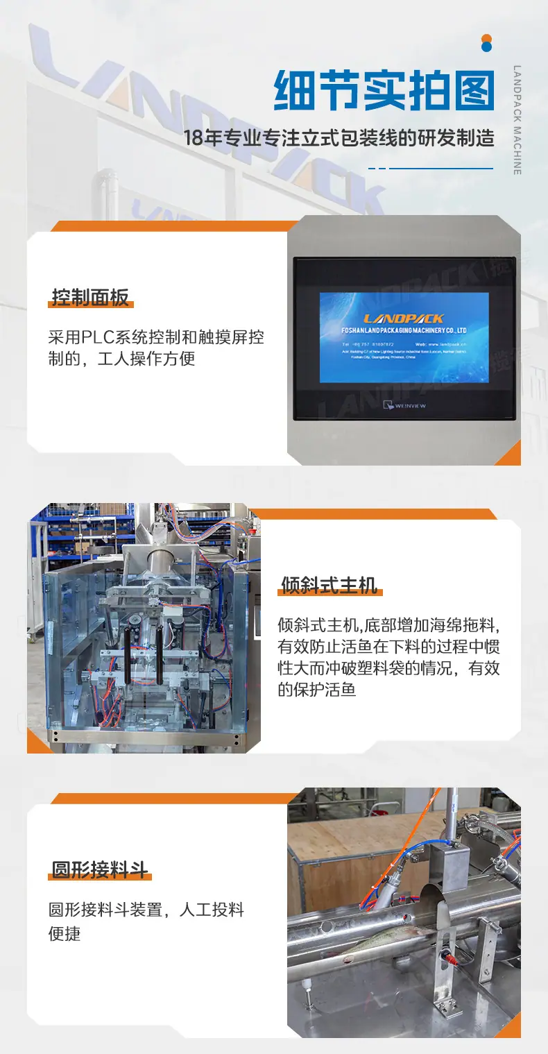 LD-520倾斜式+笋壳鱼+英姐_08.jpg