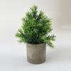 Ramo de plantas verdes amazónicas en maceta para el hogar, habitación, porche suave, adornos transfronterizos, pequeñas macetas, fábrica al por mayor