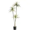 Planta Verde Artificial, Árvore do Milênio, Planta Cauda de Ferro, Sensação de Alto Padrão, Sala de Estar, Decoração de Cafeteria, Árvore Falsa, Planta Falsa, Planta em Vaso, Árvore Sangue de Dragão