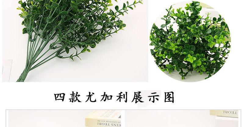 详3.jpg